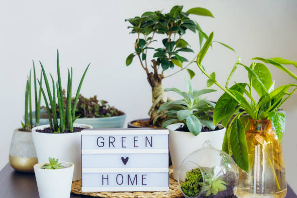 Eco-Friendly Home Decor: Sustainable Style for a Greener Home Eco-Friendly Home Decor: Sustainable Style for a Greener Home