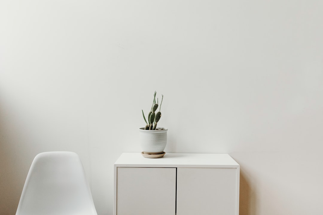 The Art of Mixing Luxury and Budget-Friendly Home Decor The Art of Mixing Luxury and Budget-Friendly Home Decor